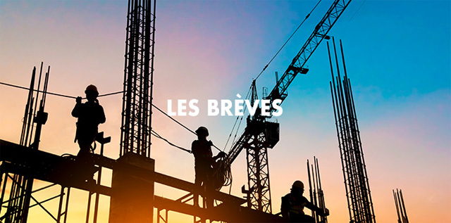 LES BRÈVES