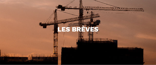 LES BRÈVES